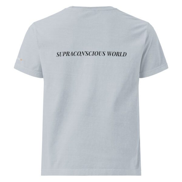 Unisex oversized garment dyed t shirt light washed denim back 6867a4315bf0d jpg